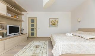 BIRUTE SUNLIGHT 2 BEDROOMs - Palanga - 9
