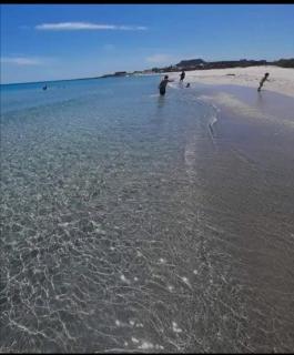 Seasight - El Haouaria - 3