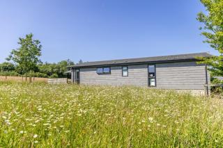 Poppy, 5 Roadford Lakes Lodges - 9