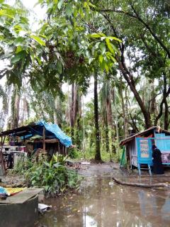 Happy Palm House - - 7