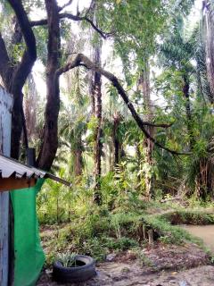 Happy Palm House - - 2