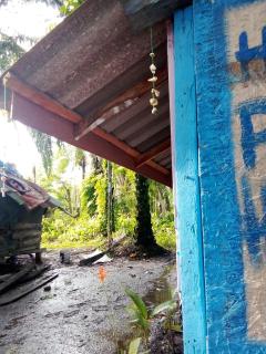 Happy Palm House - - 1