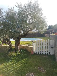 Rustic accommodation in Estella - Estella - 6