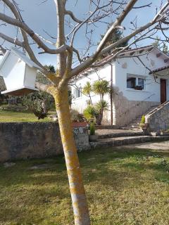 Rustic accommodation in Estella - Estella - 3