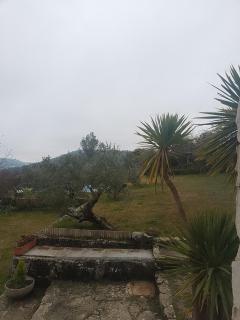 Rustic accommodation in Estella - Estella - 1