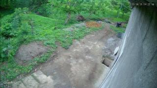 Residential House - Juigalpa - 4