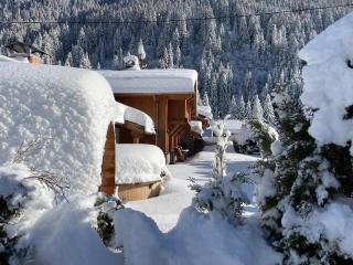 Amazing Chalet with Hot Tub Sauna and Panoramic View - 3