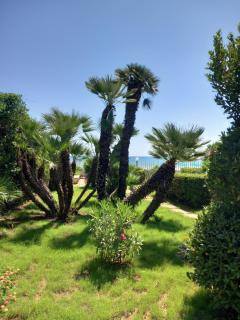 VILLA D LADY fronte mare - Terracina - 5
