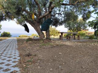 Il Borgo di Nonno Carlo - Caprioli - 7