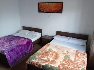 Nuwara Eliya Homestay - Nuwara Eliya - 1