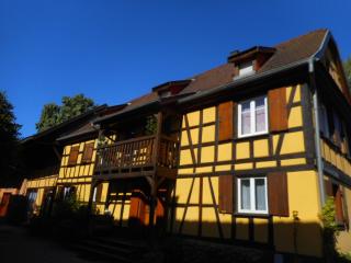 La Cour de J'Anne - Gîte Géranium - Schiltigheim - 0