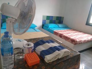 Misty mountain guest - Haldummulla - 7