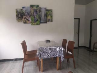Misty mountain guest - Haldummulla - 5