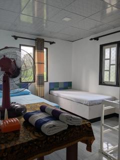 Misty mountain guest - Haldummulla - 1