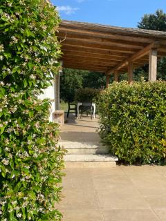 Maremma Country Chic (il Gelsomino) - Sovana - 8