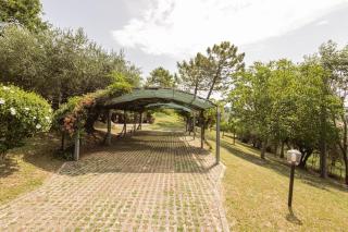 Villa Le 12 Querce - Castel di Mezzo - 7