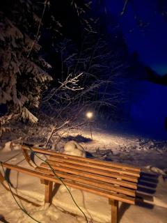 The Little Fern Apartment - Rovte - 7