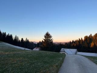 The Little Fern Apartment - 7