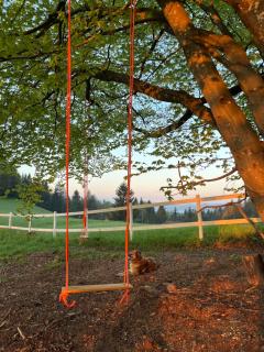 The Little Fern Apartment - 8