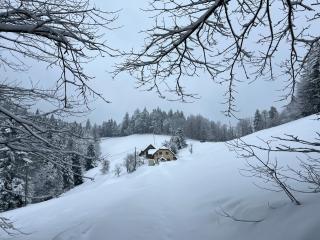 The Little Fern Apartment - Rovte - 3