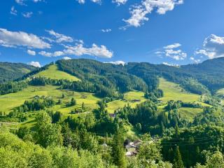 Alpendomizil 2 - Mühlbachblick (A5) - Mühlbach am Hochkönig - 5