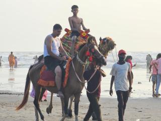 Bhatye Beach Resort Retreat - Ratnagiri - 9