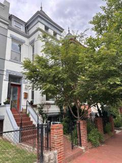 Tree-Lined Tranquillity - DC Family Retreat - 6