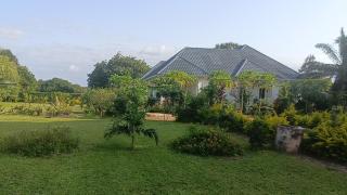 Shalom Wellspring Homestay - 9