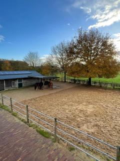 Equi Guidance Home - Wapenveld - 9