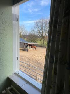 Equi Guidance Home - Wapenveld - 4