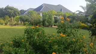 Shalom Wellspring Homestay - 6