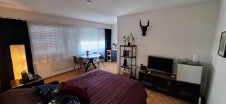 Central 2 room apartment near SBB - Basilea - 0
