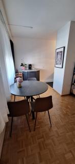 Central 2 room apartment near SBB - Basilea - 1