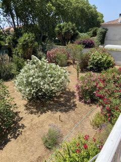 Maison d'hotes la griottiere - Six-Fours-les-Plages - 1