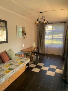 Immaculate self catering family home - George - 5