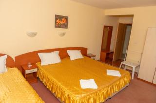 Family Hotel Mimosa - 8