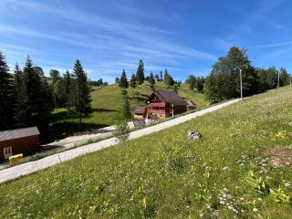 Cabana Sânziana - 6