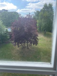 Putney homestay Fatima two bed flat - Londra - 2