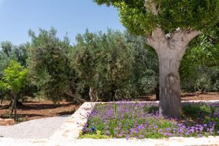 Le Dimore Di Alice - Cisternino - 8