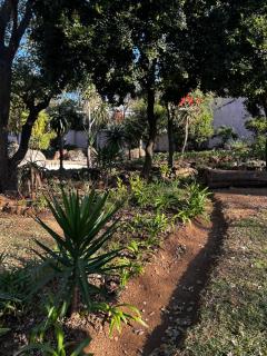 Garden Studio 2 Waterkloof Ridge - 1