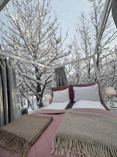 Stargazing Igloo by Eyja Mork with Hot Tub, BBQ and shared kitchen - Stora Mork - 0