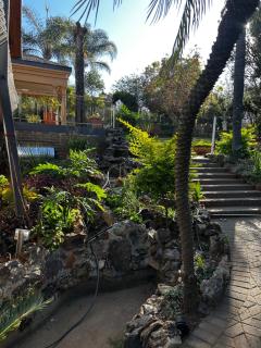 Garden Studio 2 Waterkloof Ridge - 3