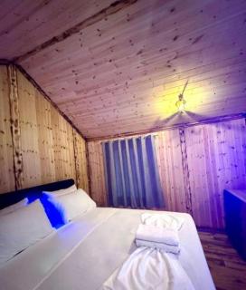 Forest View Villas & Treehouses - Valbonë - 7