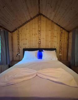 Forest View Villas & Treehouses - Valbonë - 3