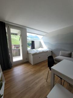 Residenza Tga Clo Apartment 111 - Savognin - 4
