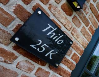 Thilo - Tinnum - 8