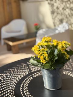 Studio terrasse - Aix-en-Provence - 2