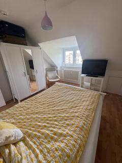Single Room in a shared 2 rooms apartment - Niederdorla - 9
