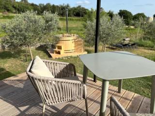 Mazet au milieu des vignes et des oliviers - Saint-Césaire-de-Gauzignan - 9