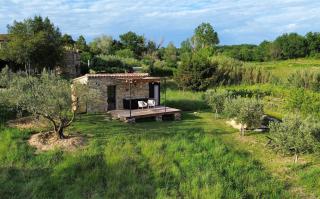 Mazet au milieu des vignes et des oliviers - Saint-Césaire-de-Gauzignan - 7